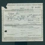 278Stein