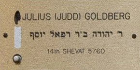 2_17_Julius (Judd) Goldberg
