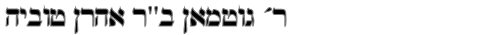 5_2a_Goodman (Goodie) Mandleberg
