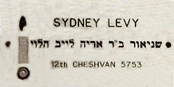 6_46_Sydney Levy